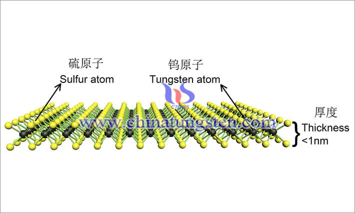 二次元層状ナノ材料：ナノ二硫化タングステン