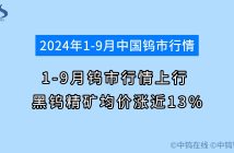 2024年1-9月钨价行情如何