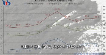 赣州钨协2024年10月份国内钨市预测均价